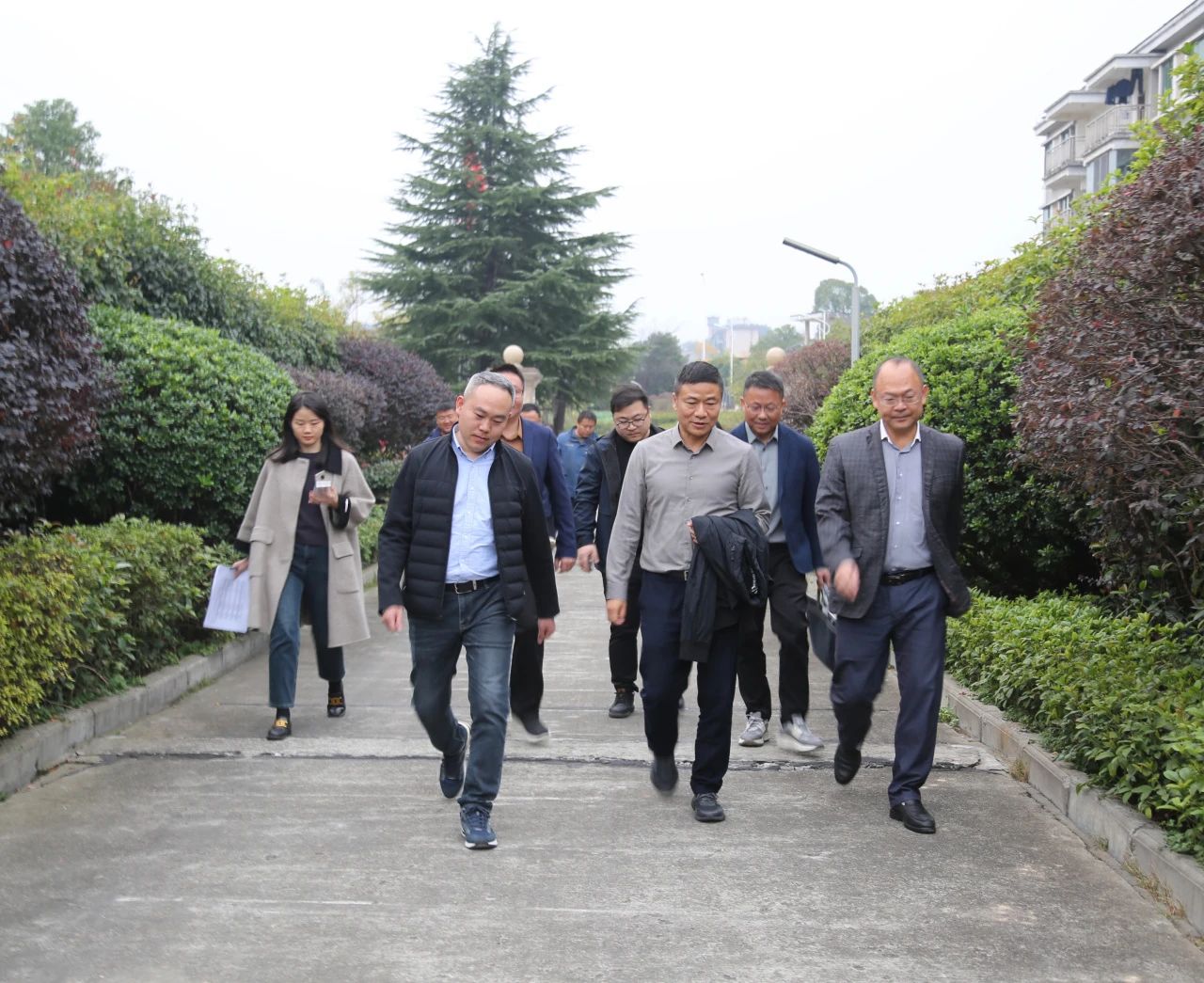 1733362978520657.jpg 1733362978520657.jpg